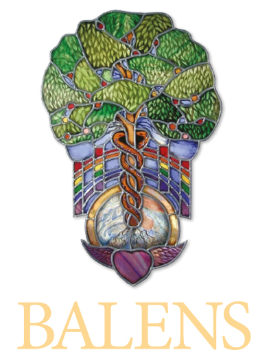 Balens Insurance logo